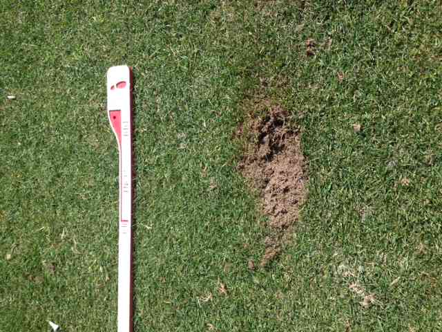Example of Divot I made with a 4 Hybrid