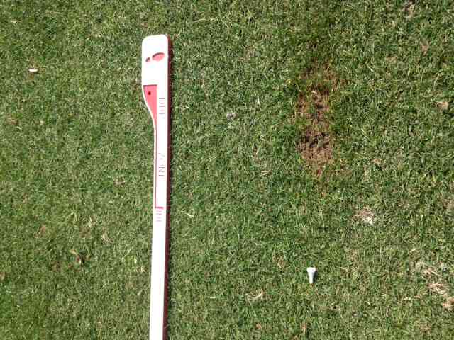 Tee Broken and Divot After Hybrid Swing